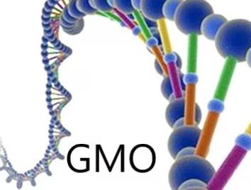 GMO_resize-with-title