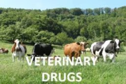 SG_resize_OurService_Veterinary-Drugs